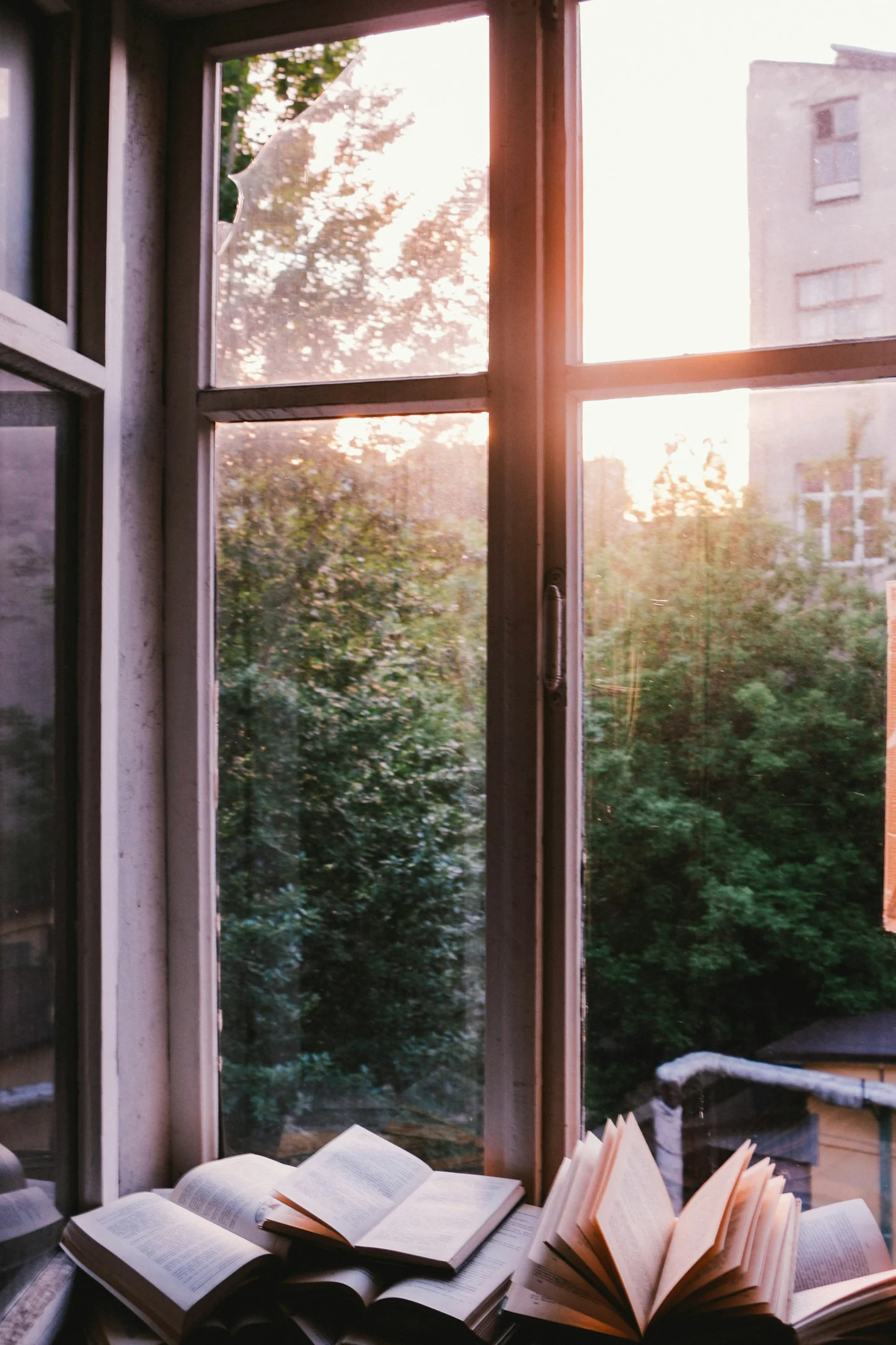 Open books resting by an old wooden window in the evening light